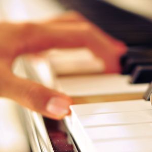 哔哩哔哩的黄片网站怎么搜索
