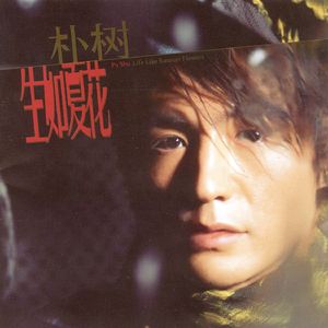 哔哩哔哩的黄片网站怎么搜索
